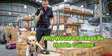 held in customs
